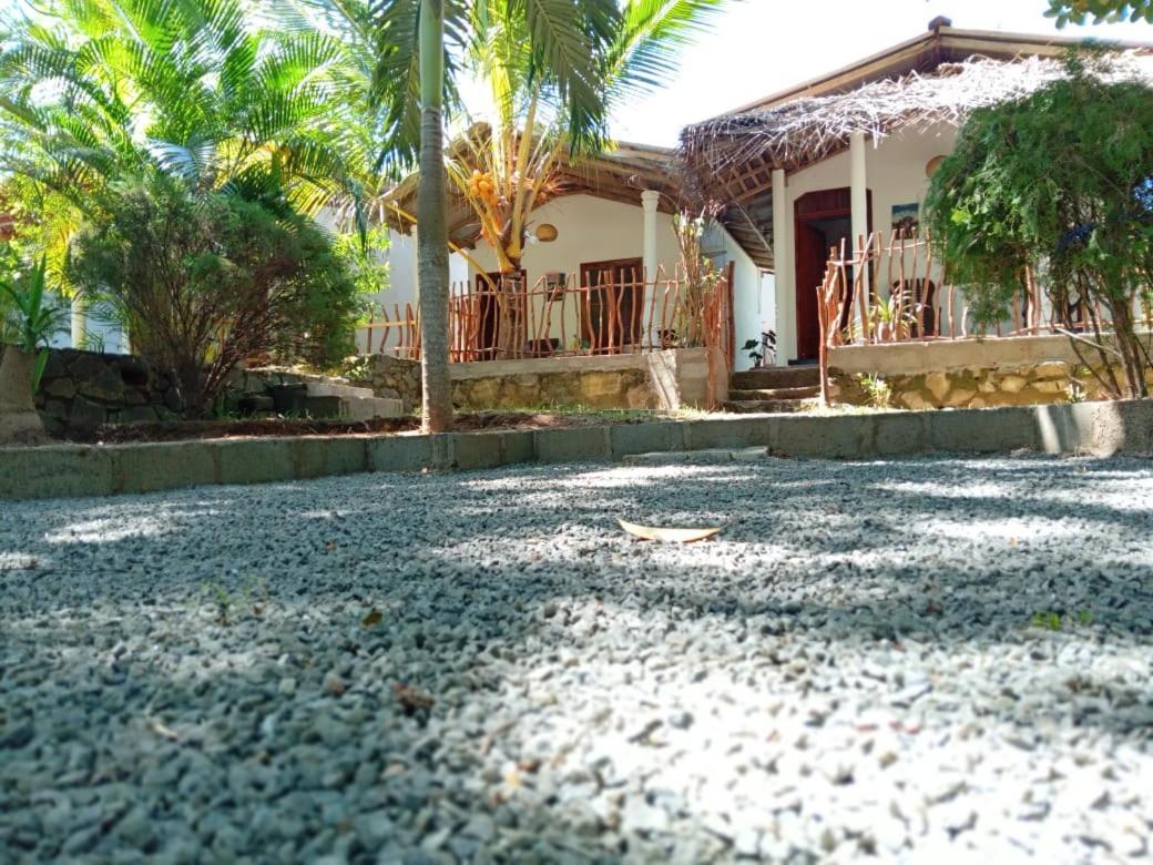לינה וארוחת בוקר טנגלה Peacock Garden מראה חיצוני תמונה