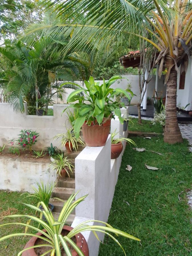 לינה וארוחת בוקר טנגלה Peacock Garden מראה חיצוני תמונה